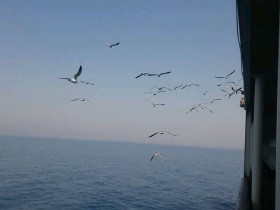 20150529044432